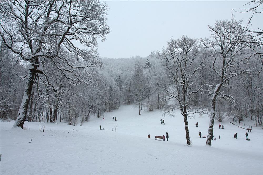 Топ 10 мест в спб ленинградской области для зимнего отдыха на 1 день выходные дудергофские высоты можайское